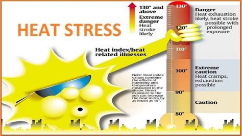 dangers of heat stress